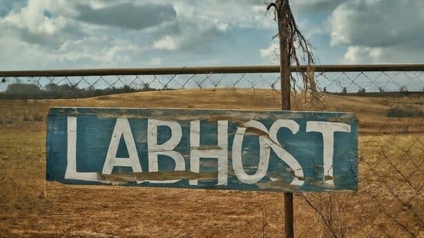 الكشف عن قائمة تضم 42,000 نطاق تصيد احتيالي مرتبطة بمنصة LabHost الإجرامية