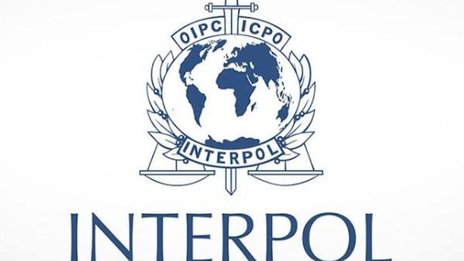 الإنتربول يعتقل 1209 مجرمين سيبرانيين في 18 دولة إفريقية ضمن حملة عالمية